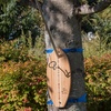 image:imageTiki Toss Straps  CampingTravel Straps to Hang Tiki Toss Ring Game